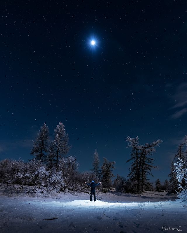 звезды, лес. ночь, дрон I WANT TO BELIEVEphoto preview