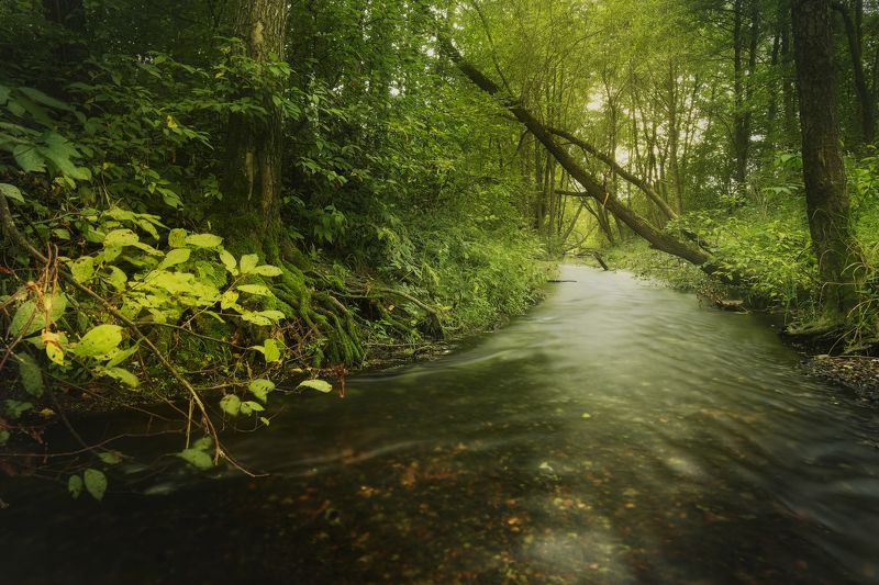 сказочная речка photo preview