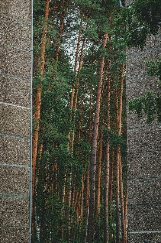 Линииphoto preview