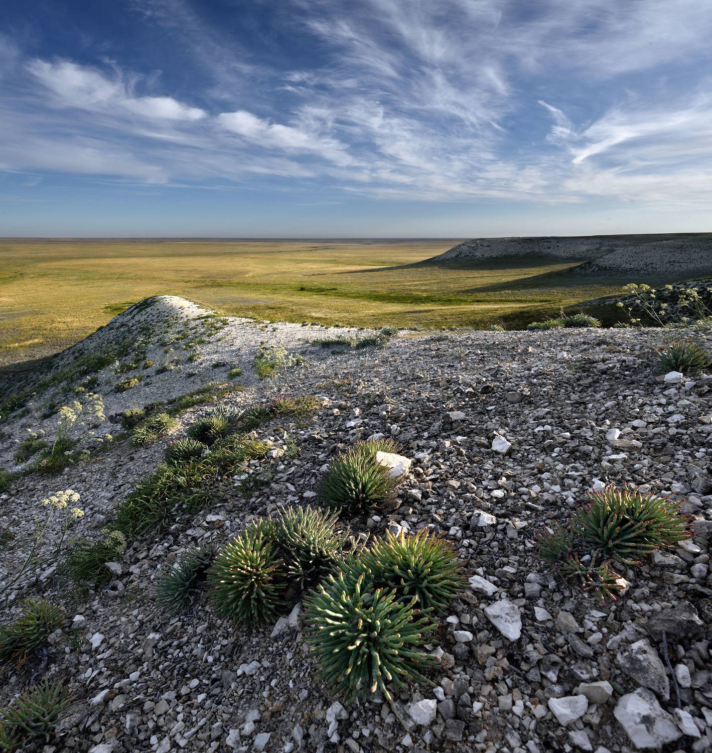 Южные земли. Автор: Андрей Зыкин , Андрей Зыкин