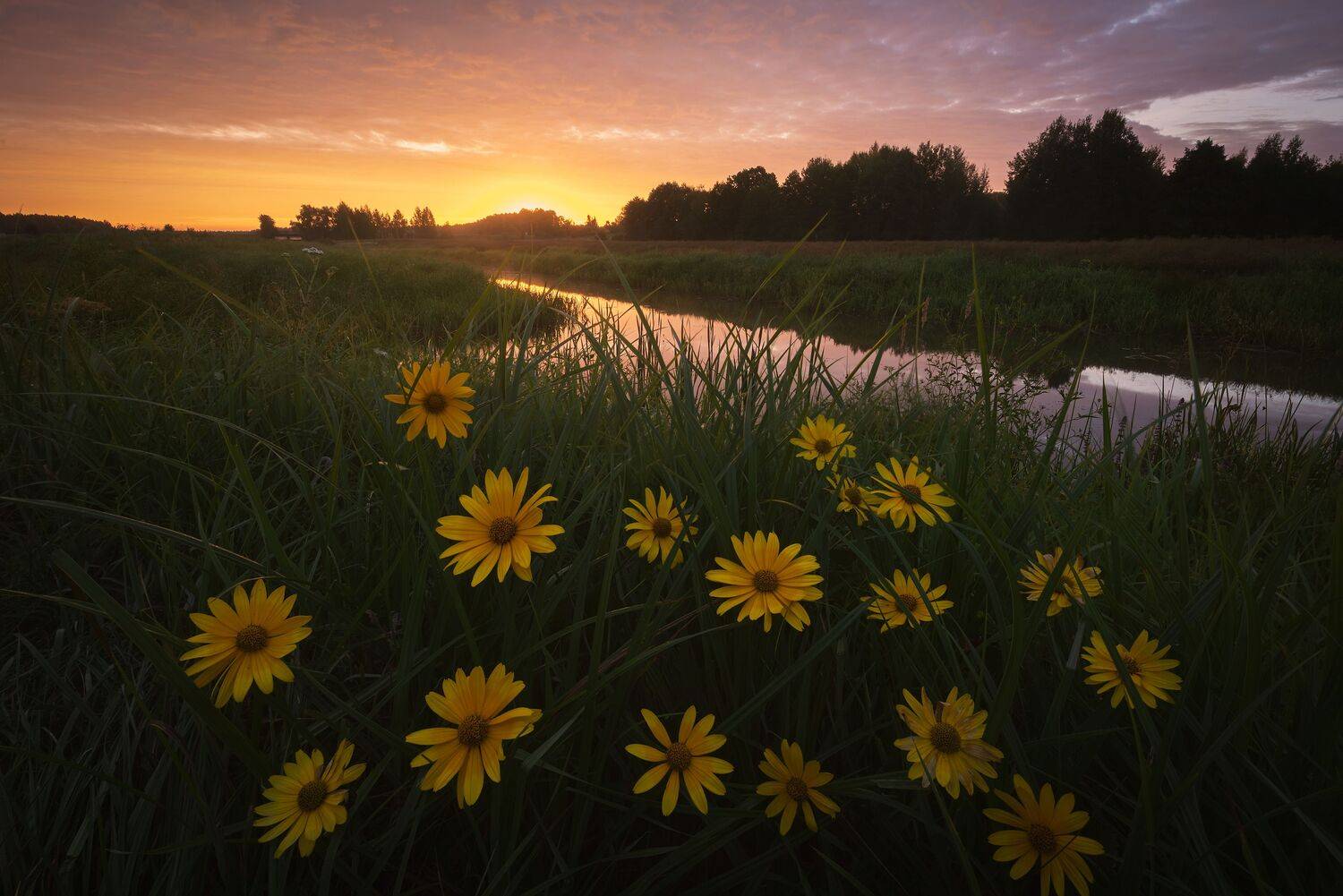 , Захаров Дмитрий