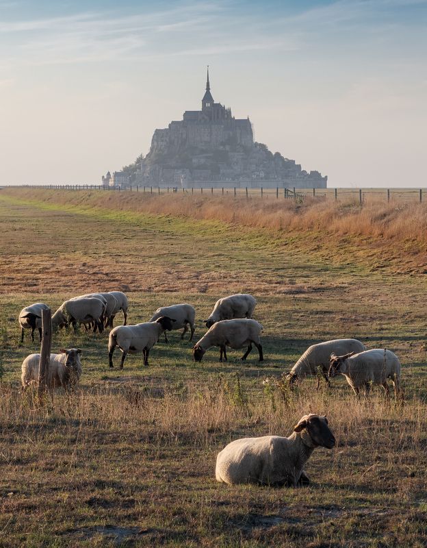 вечер, утро, замок, крепость, остров, франция, нормандия, мон-сен-мишель, мон сен мишель, mont-saint-michel, mont saint michel, france, evening, morning, island, fortress, abbey, rural, river, mont saint-michel Мон-Сен-Мишель / Mont-Saint-Michelphoto preview