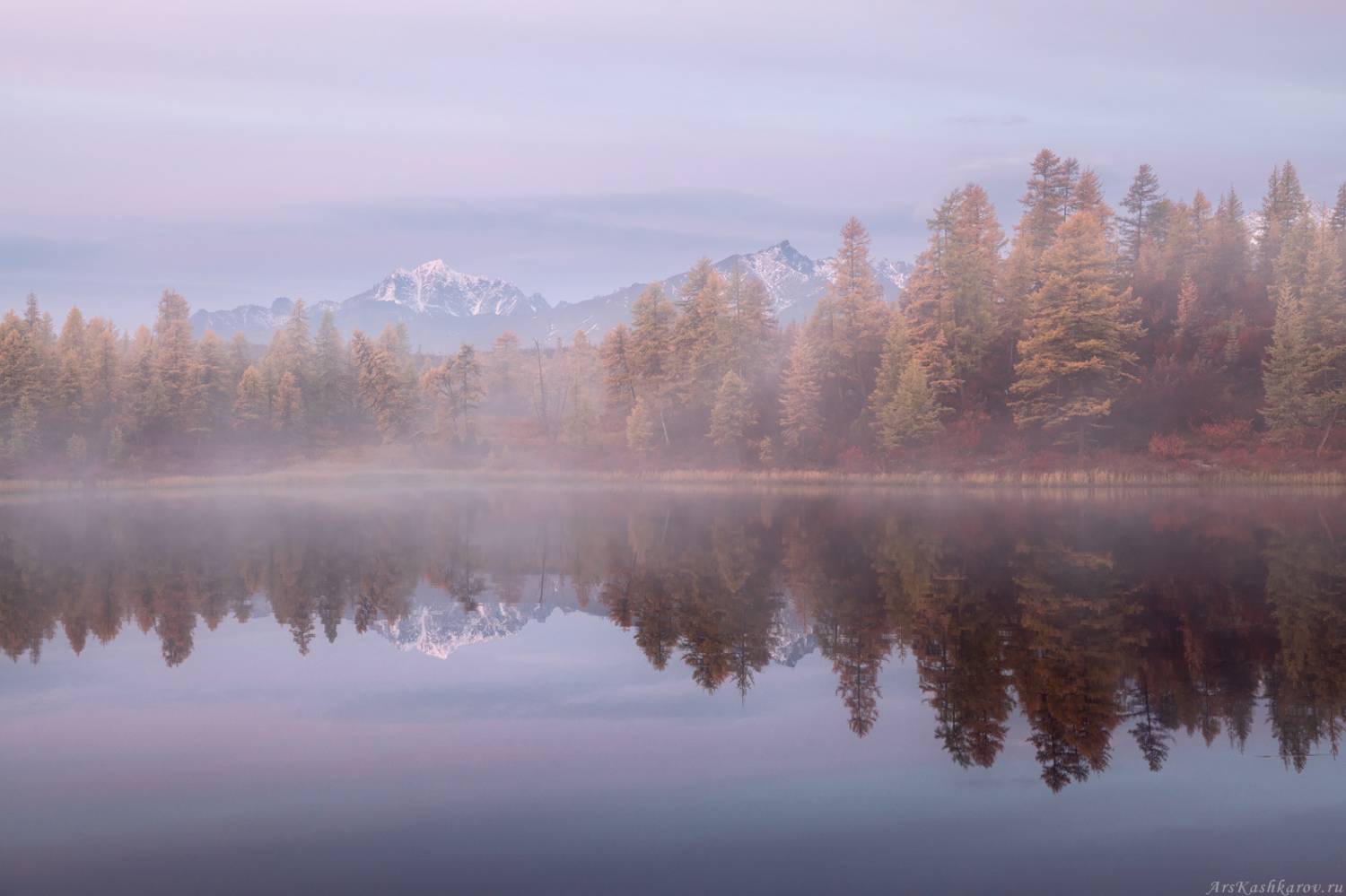 "Туманы Колымы". Автор: Арсений Кашкаров колыма, озеро джека лондона, стоозерка, магаданская область, дальний восток, лиственницы, лесотундра, тайга, Арсений Кашкаров