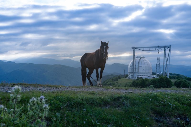 Параллельные миры.photo preview