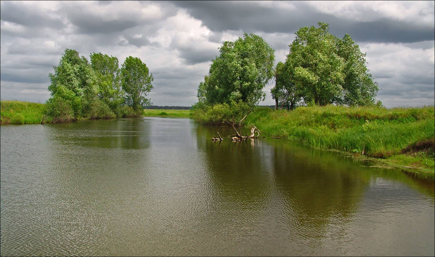 Волнение.... Автор: Тарасов Алексей рязанщина, Тарасов Алексей