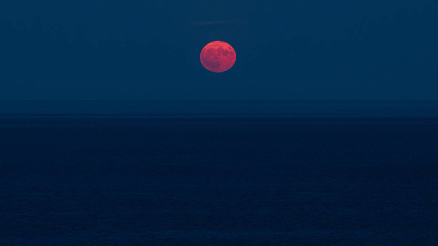 Южное полнолуние. Автор: С. Сергей , С. Сергей