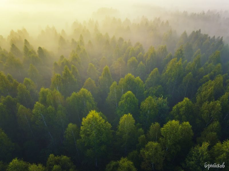 Туманыphoto preview