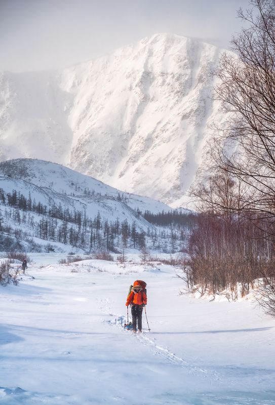 Южно-Муйский хребет, горы, зима, снег, лыжи Лыжный походphoto preview