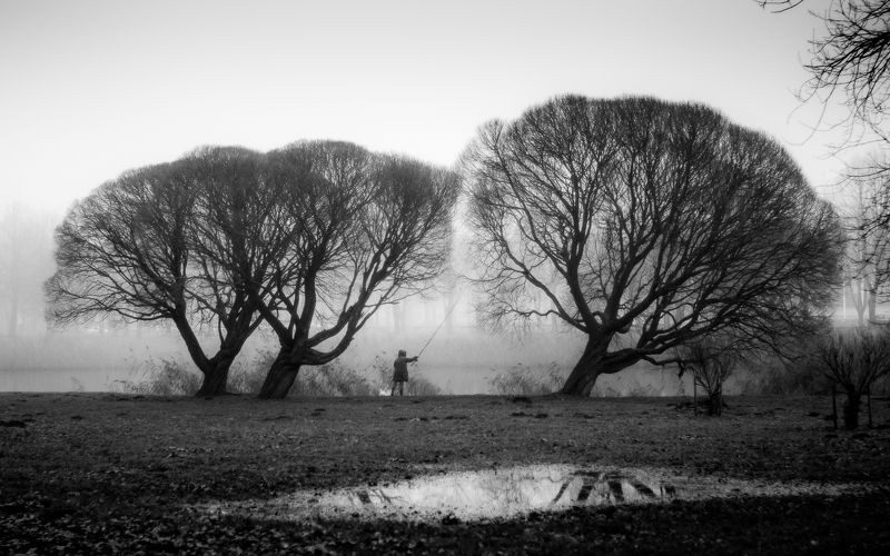 Претендентская публикацияphoto preview