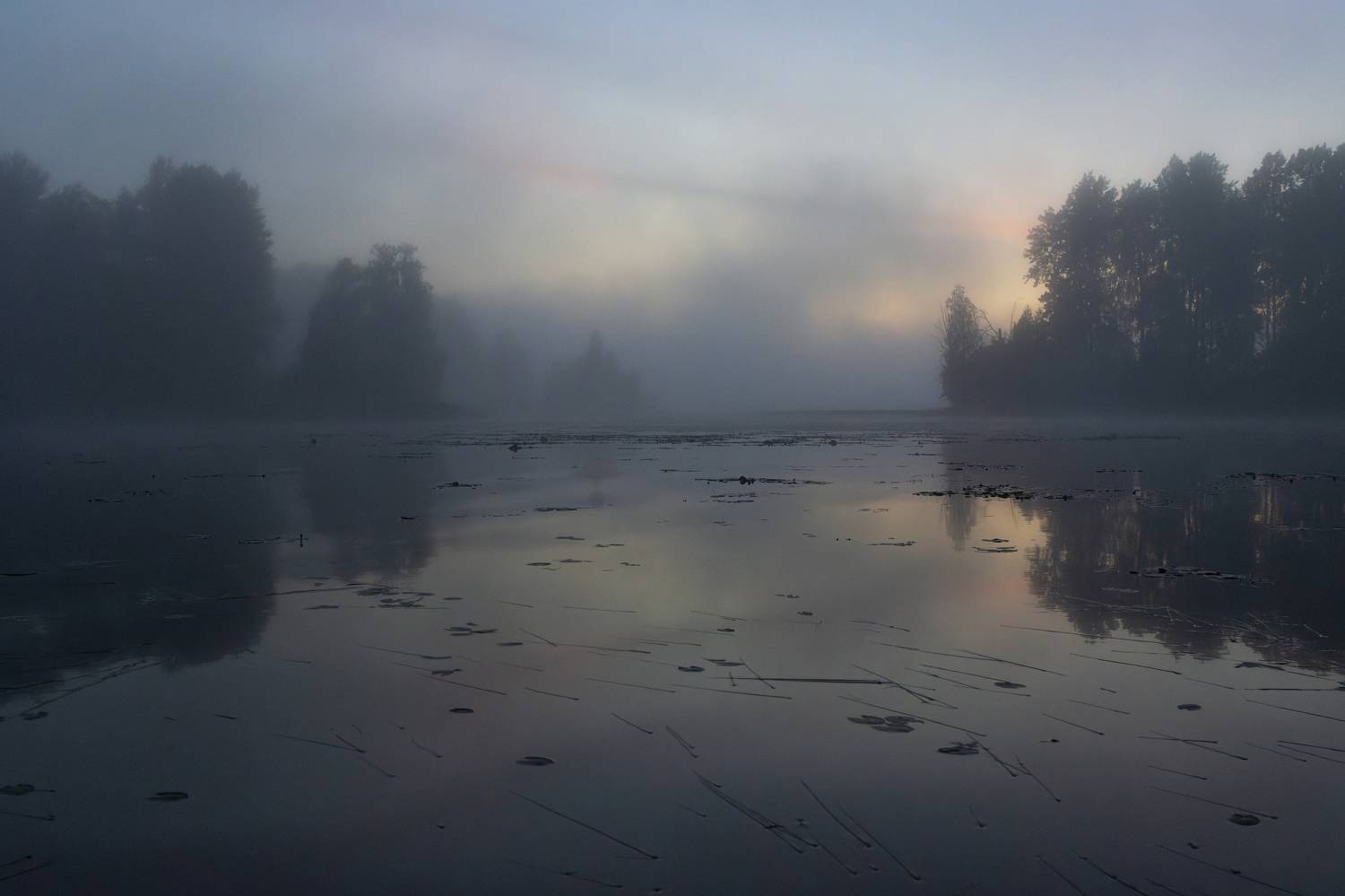 озеро, вечер, туман, отражение, закат, облако, лес, Светлана Холодняк