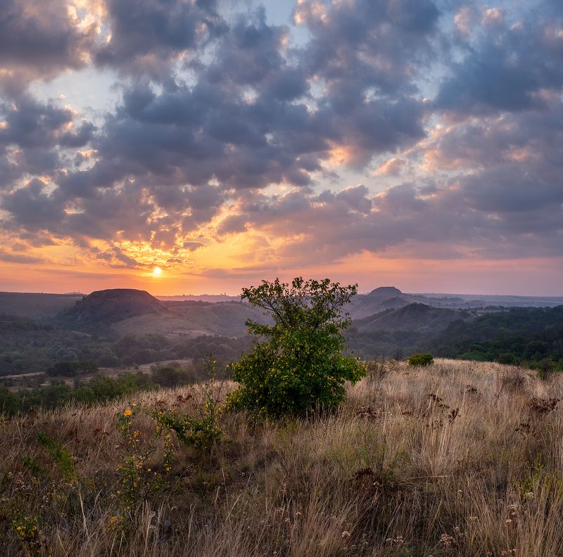 #ProDonbassAutumnphoto preview