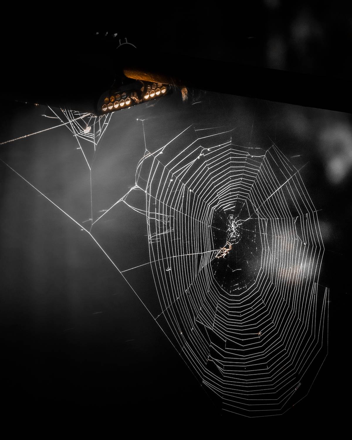 , Евгений Чикишев