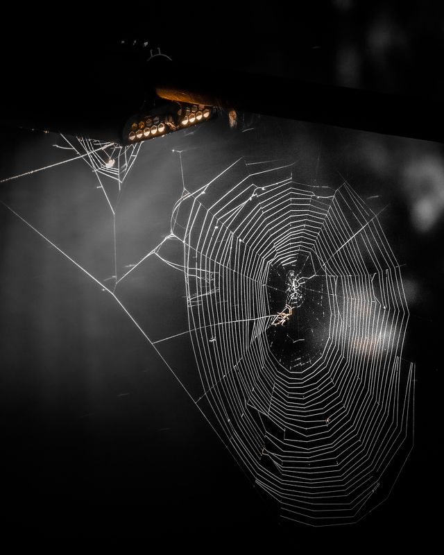 За работой photo preview