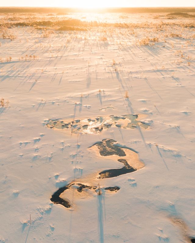 #harjumaa, #kõnnusuursoo, #eestirabad, #eesti, #estonia, #eestiloodus, #ilusadeestipaigad, #nature_of_estonia, #dronephotography, #drone, #dji, #djiphotography, #estoniafromabove, #estoniafromthesky, #estoniannature, #droneoftheday, #dronephoto, #whitewin ***photo preview