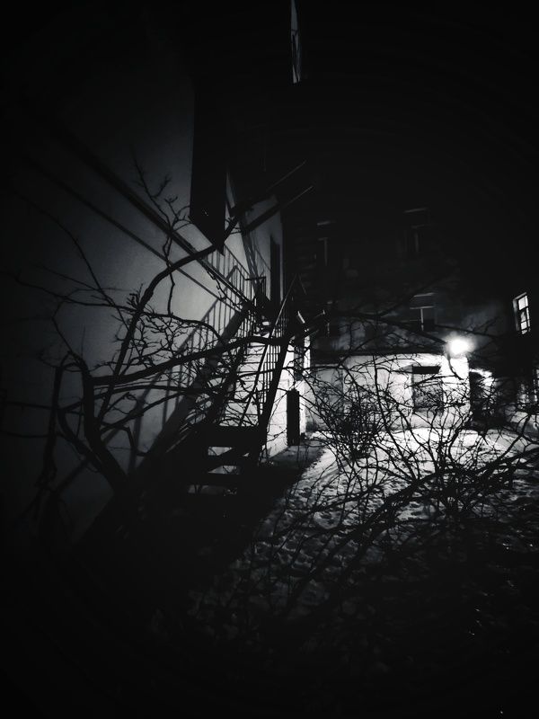 Питер весна photo preview