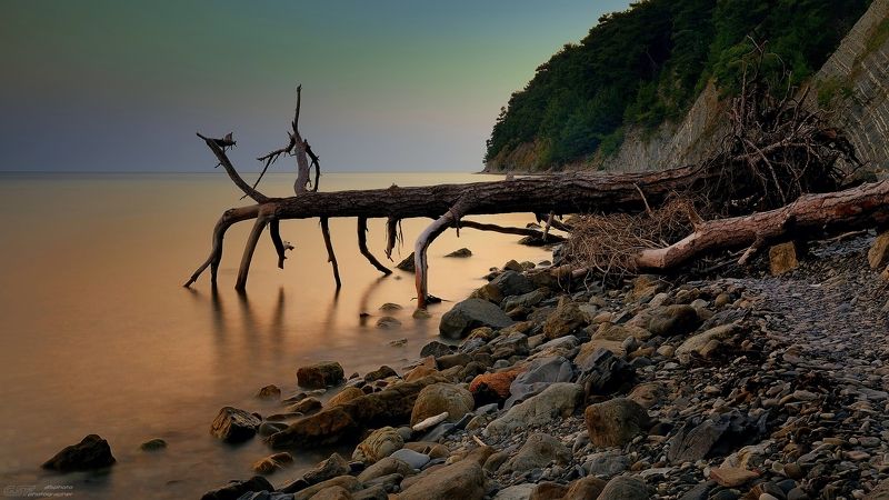 природа пейзаж лето море дерево камни закат сумерки На закате... фото превью