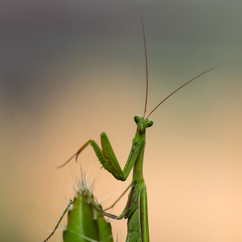 Привет!photo preview