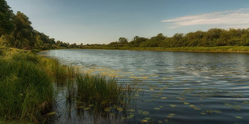 русло, река, лето, кувшинки, беларусь Старое русло фото превью