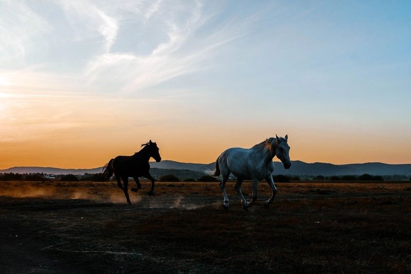 Ускользающее летоphoto preview