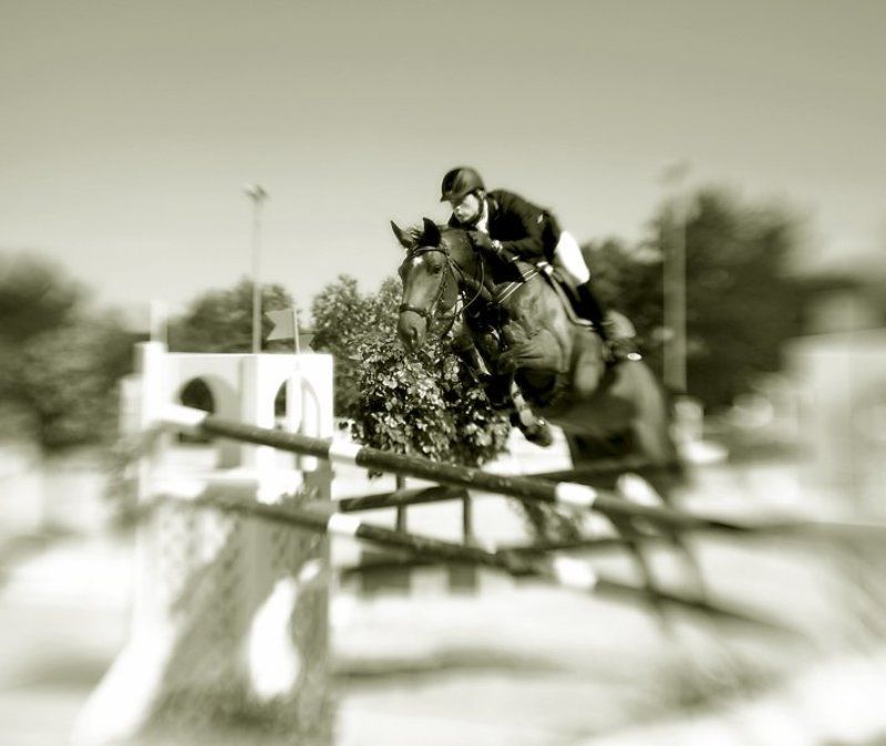 ленс бэби и конкур2photo preview