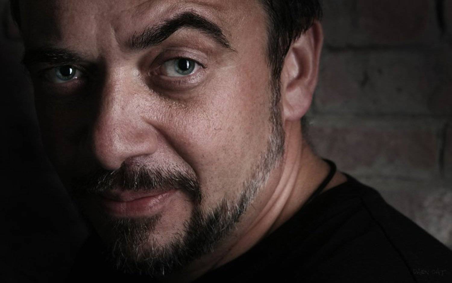 максим, шамота, и, его, говорящая, бровь, Darn Cat