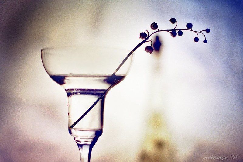 фото, сткло, веточка, натюрморт веточка надежды... фото превью