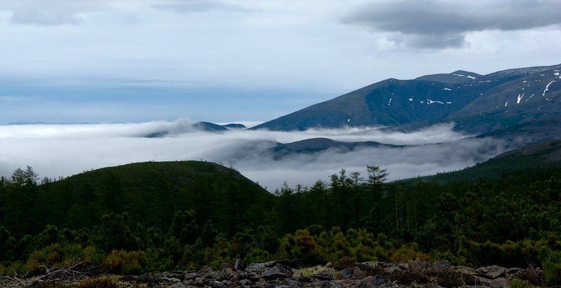 mist, туман Mistphoto preview