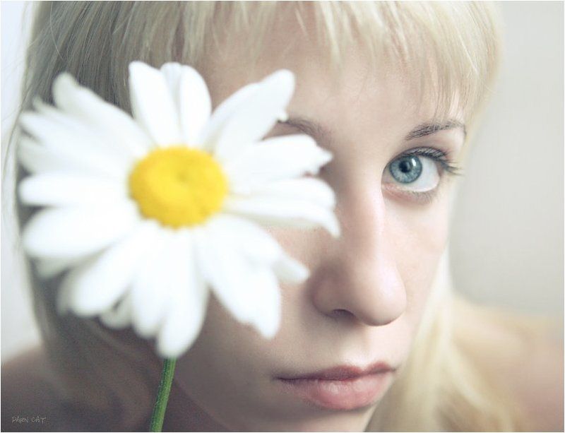 автопортрет, осмотр, мира, ромашка Viewing  the world фото превью