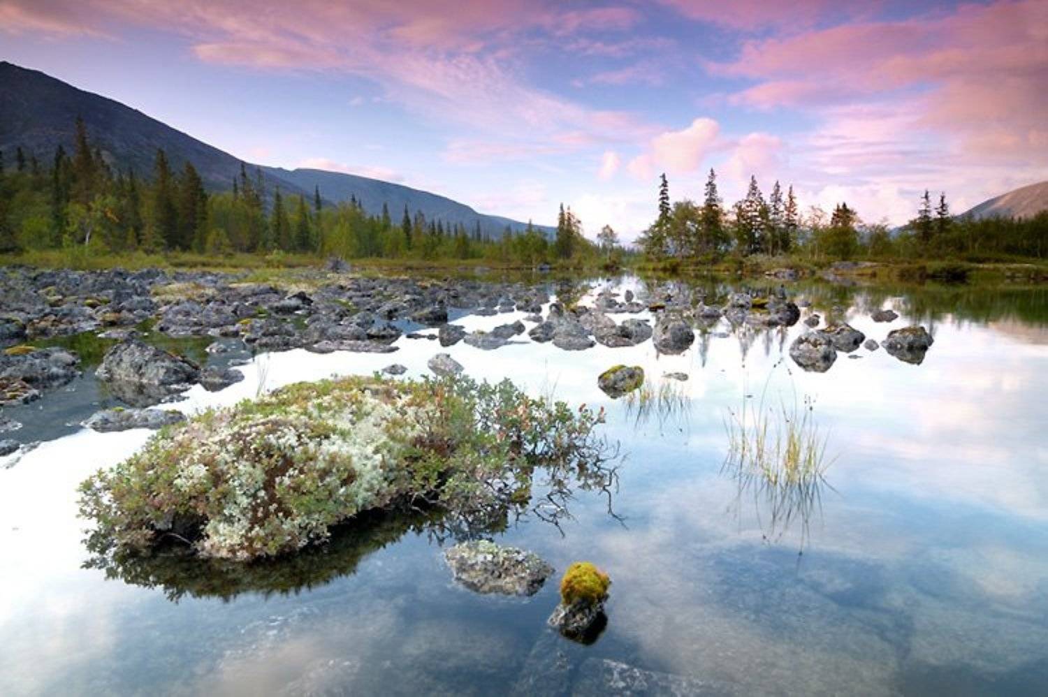 Хибины. Автор: Токарь Дмитрий , Токарь Дмитрий