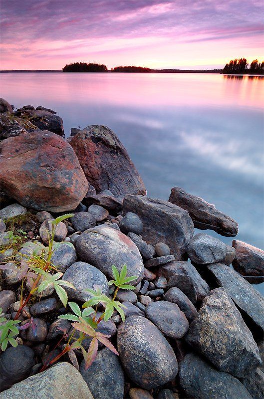 Белое море фото превью