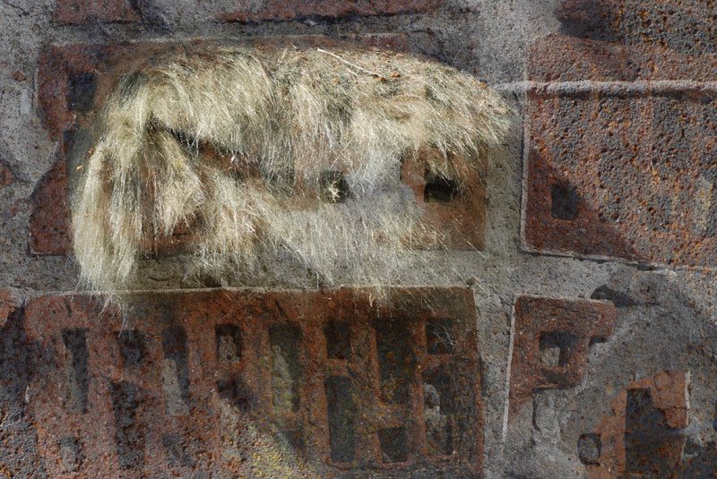 Фантом в душе.photo preview