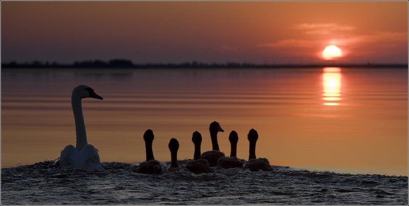 Закат на Волгеphoto preview