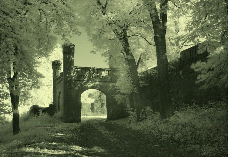 Ворота бывшего орденского замка Гердауэнphoto preview