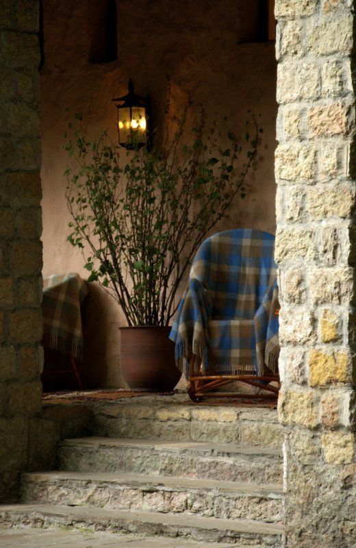 Лето без кошкиphoto preview