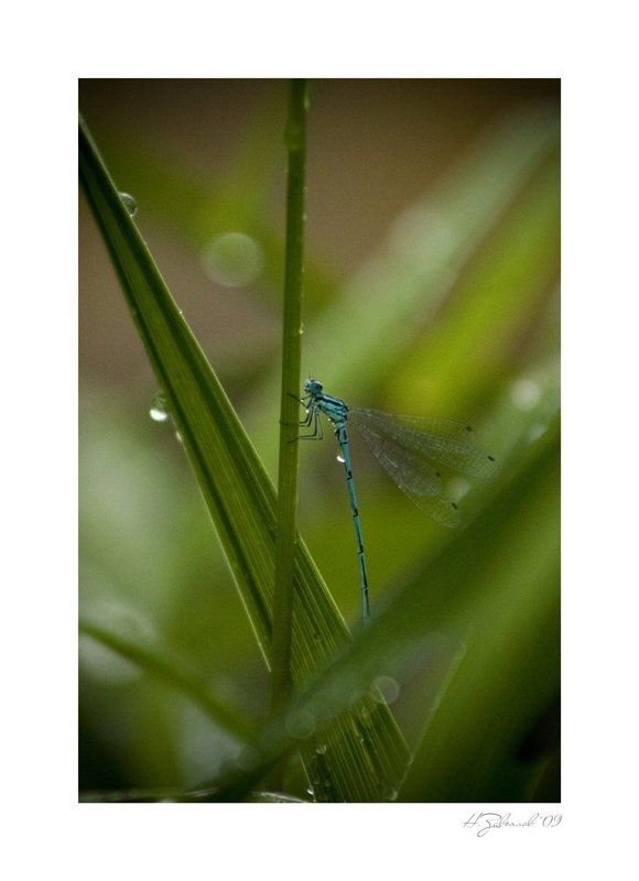 Нам не узнать...photo preview