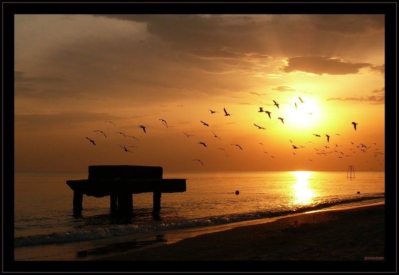 море,закат,чайки Закатная хреновина фото превью