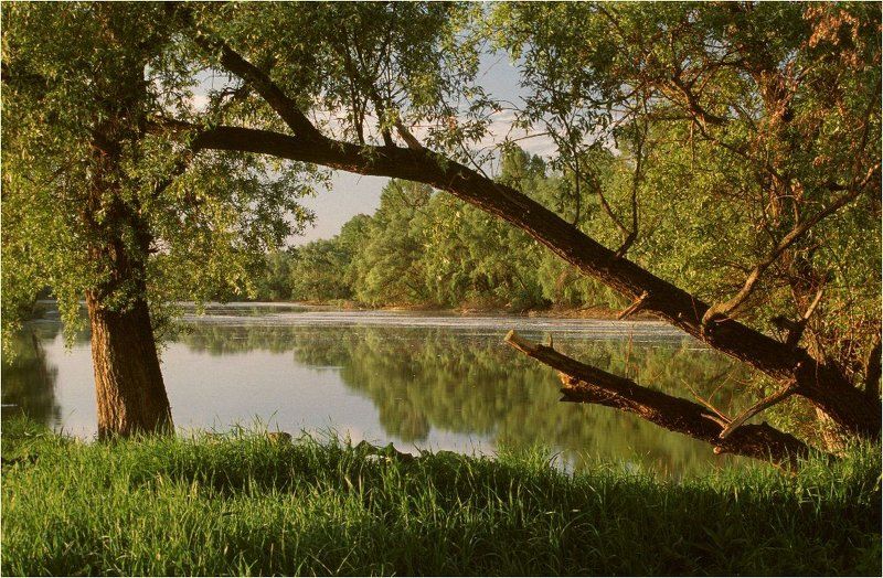 озеро, искинское, башкирия Раннеутренняя картинка \