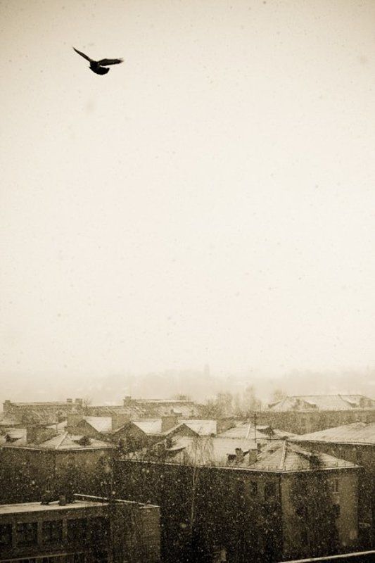 город, зима Сказкаphoto preview