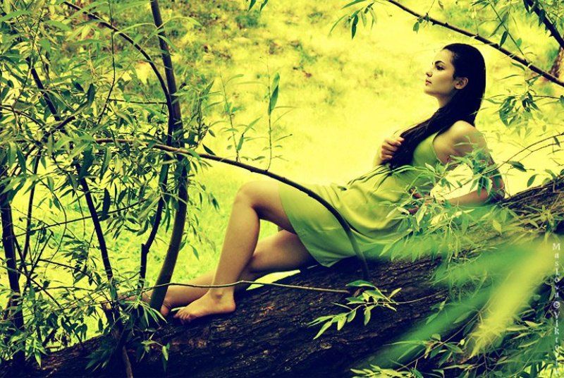 Солнечным днемphoto preview