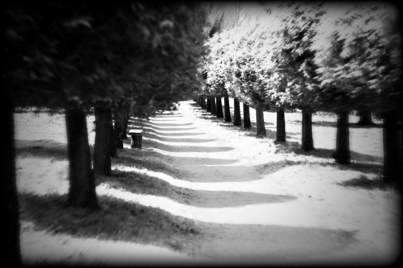 парк Старый паркphoto preview