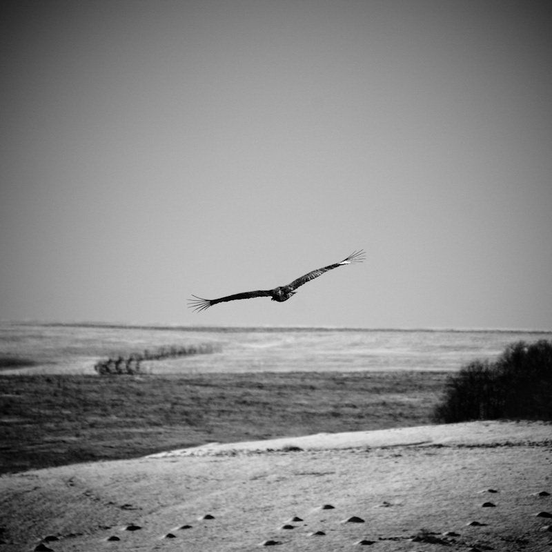 кавказ Сквозь горизонтphoto preview