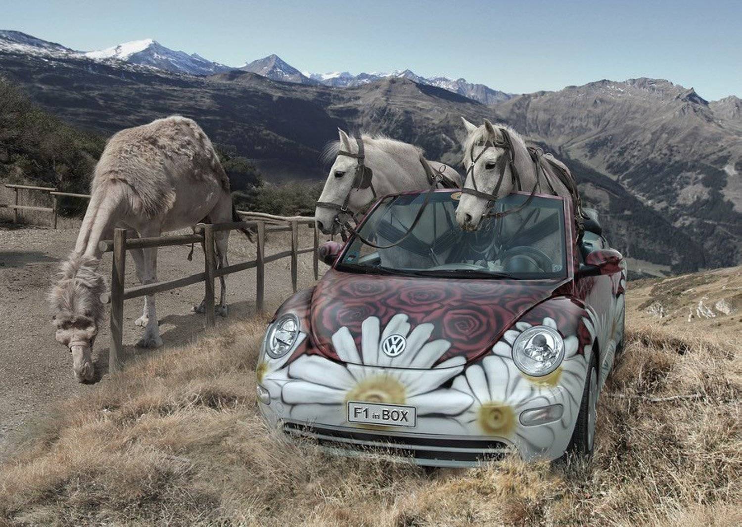 разные, SAVinBOX