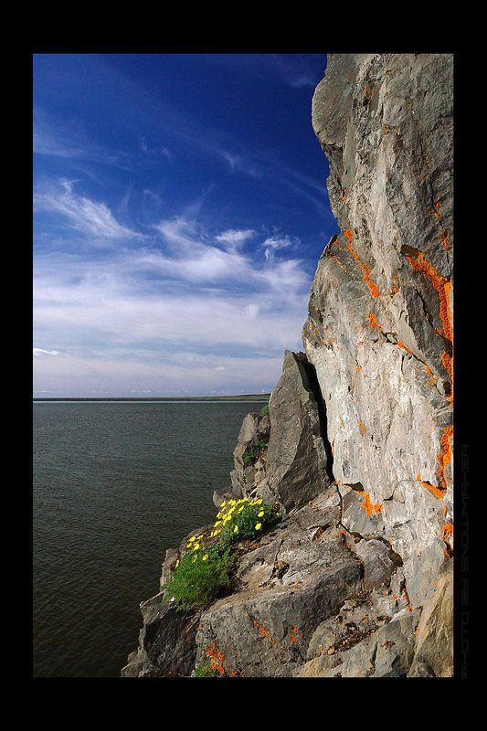 И на камнях растут цветы...photo preview