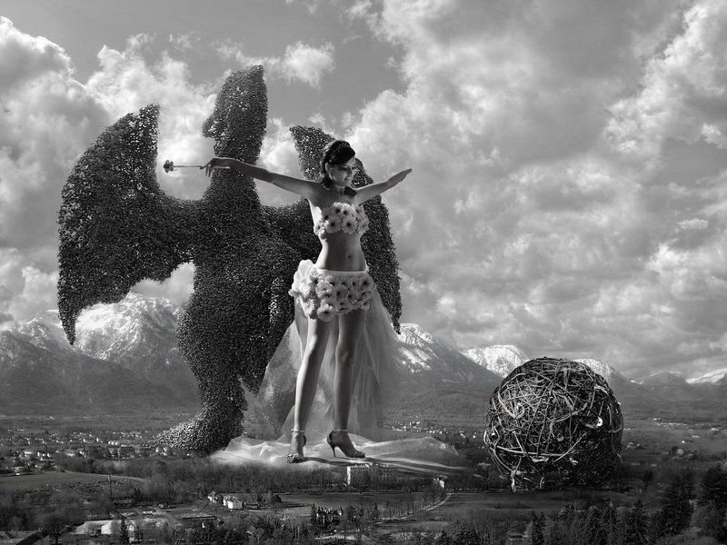 разные Глобус №8photo preview