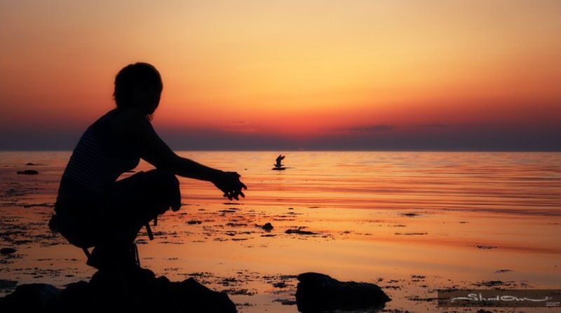 shd, www.shad0w.ru photo preview