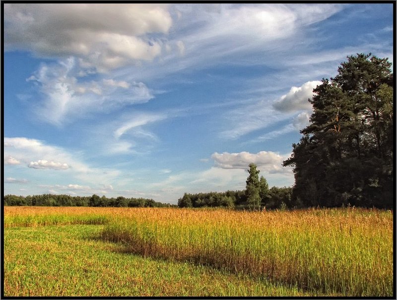 Летний пейзажphoto preview