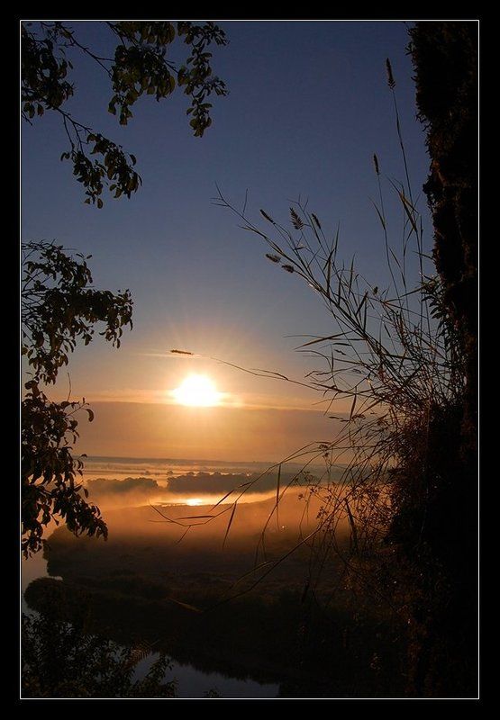 туман, река, утро, колосок, восход, небо Утро туманное...photo preview