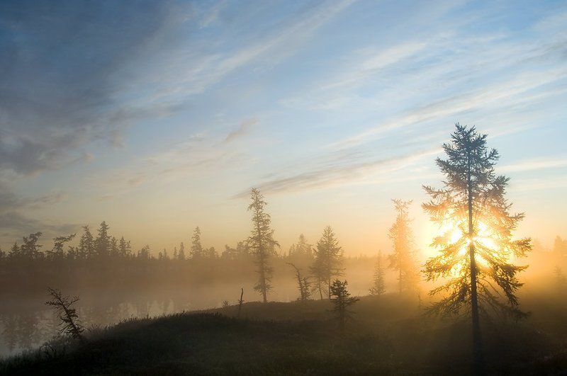 север, природа, туман, утро , пейзаж, Утро туманное#6photo preview