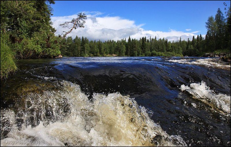 russia, россия, север, north, мурманская область, тунтсайоки, река, river Тунтсайоки... (1)photo preview