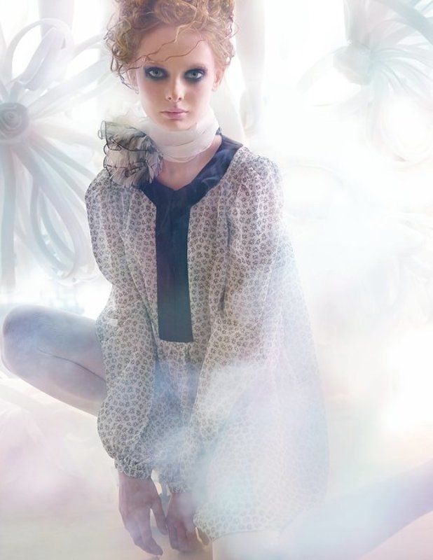 Magnoliaphoto preview